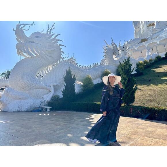 HUTCH Women's Purple Floral Wrap Long Sleeve Lima A-Line Dress Size Extra Large - Picture 13 of 15